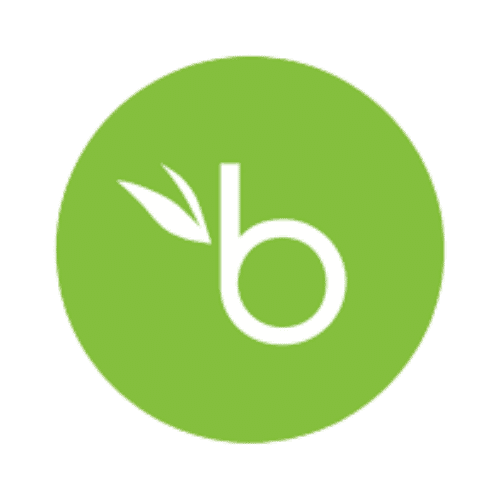 BambooHR logo